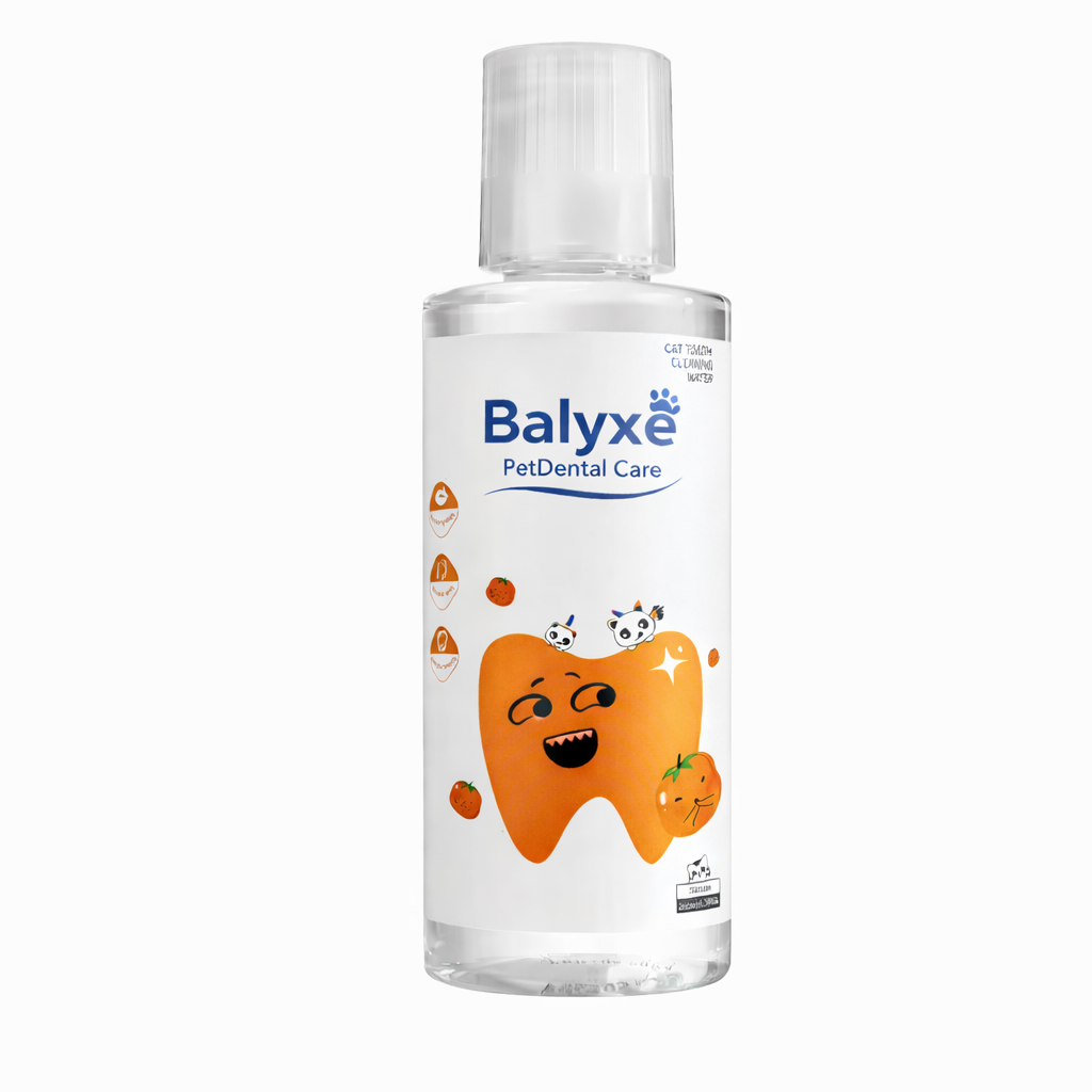 Balyxe: Protección Dental para Mascotas
