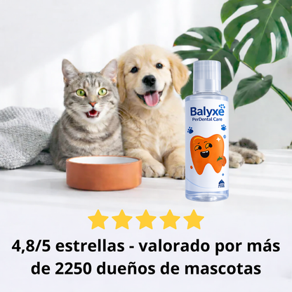 Balyxe: Protección Dental para Mascotas