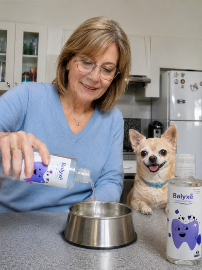 Balyxe: Protección Dental para Mascotas