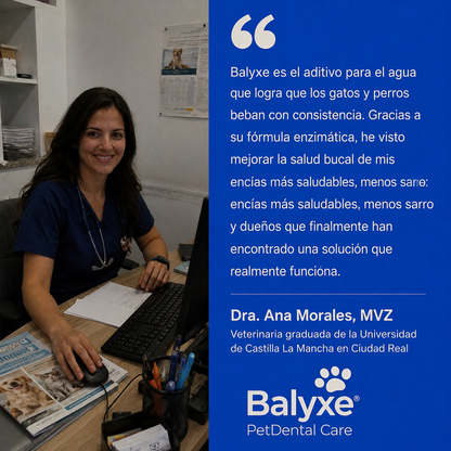 Balyxe: Protección Dental para Mascotas
