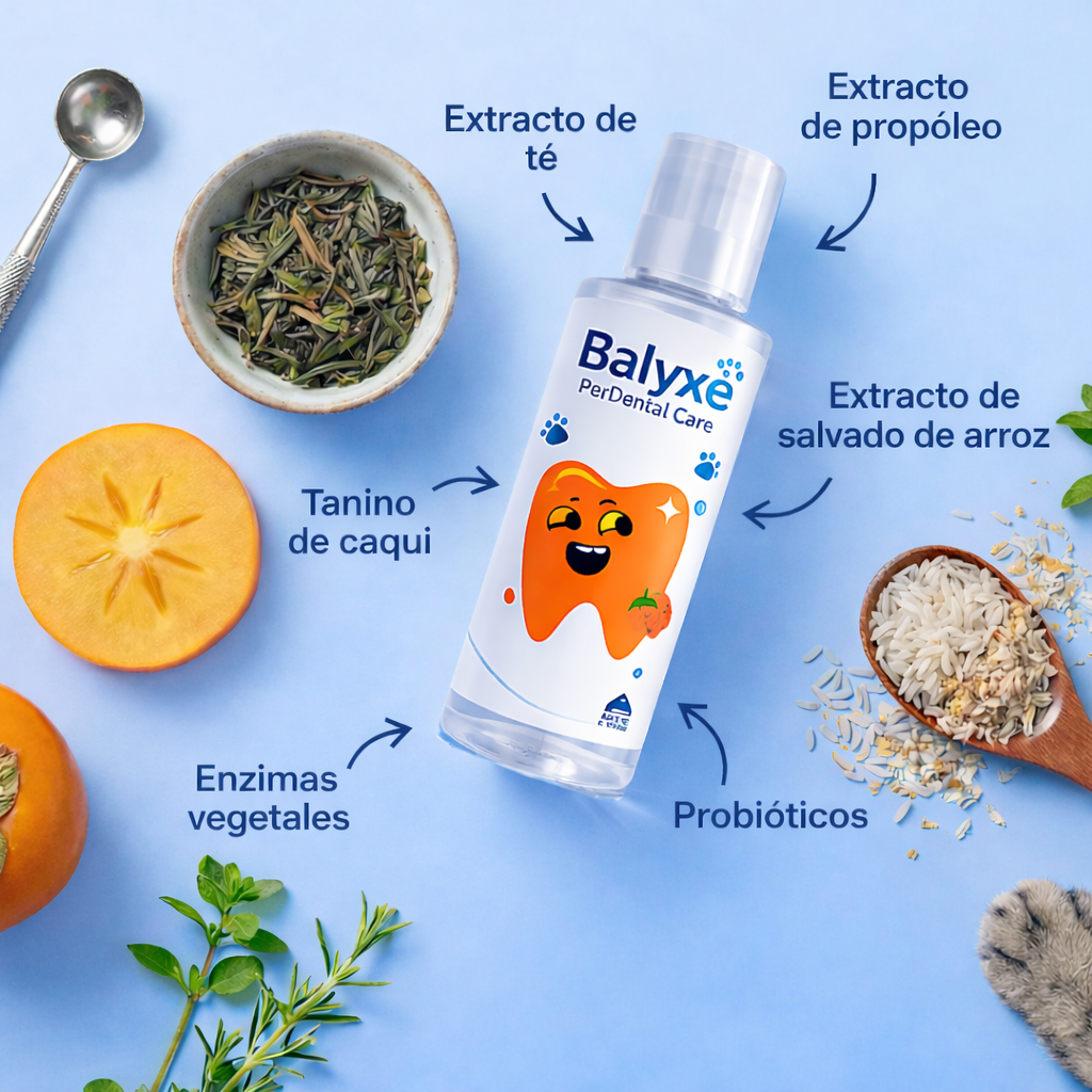 Balyxe: Protección Dental para Mascotas