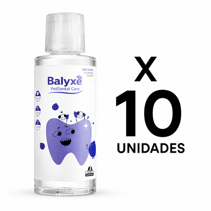 Balyxe – Pack Mayorista