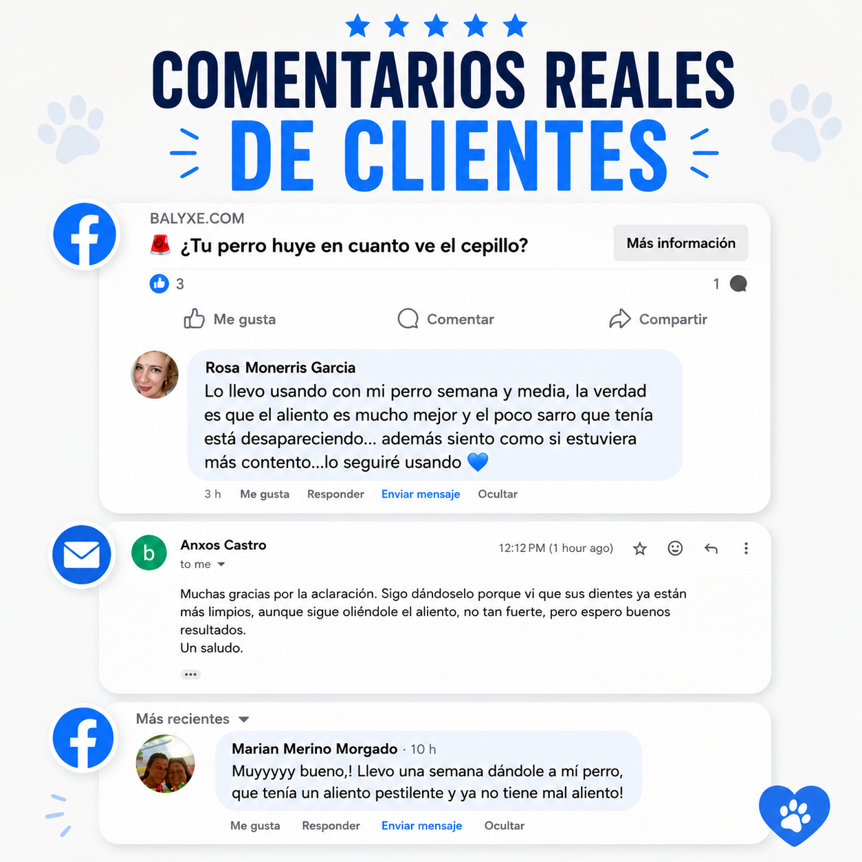 Balyxe: Protección Dental para Mascotas