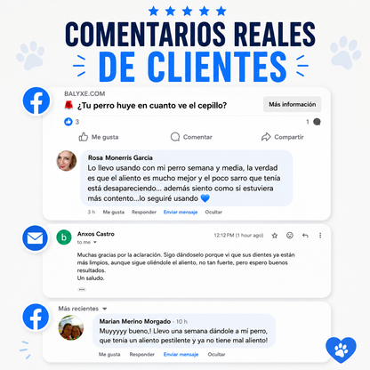 Balyxe: Protección Dental para Mascotas