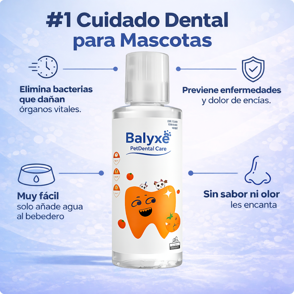 Balyxe: Protección Dental para Mascotas