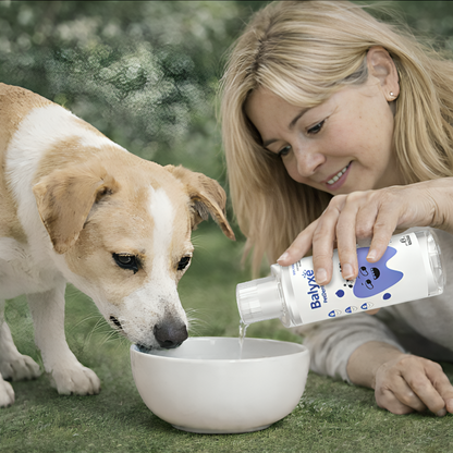 Balyxe: Protección Dental para Mascotas