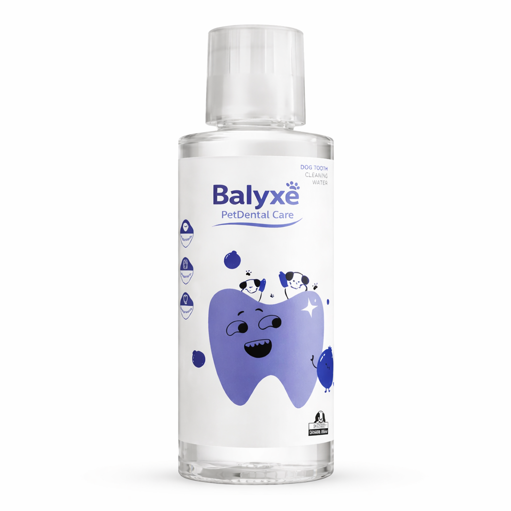 Balyxe: Protección Dental para Mascotas