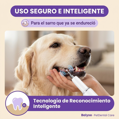 Eliminador de sarro endurecido con reconocimiento inteligente