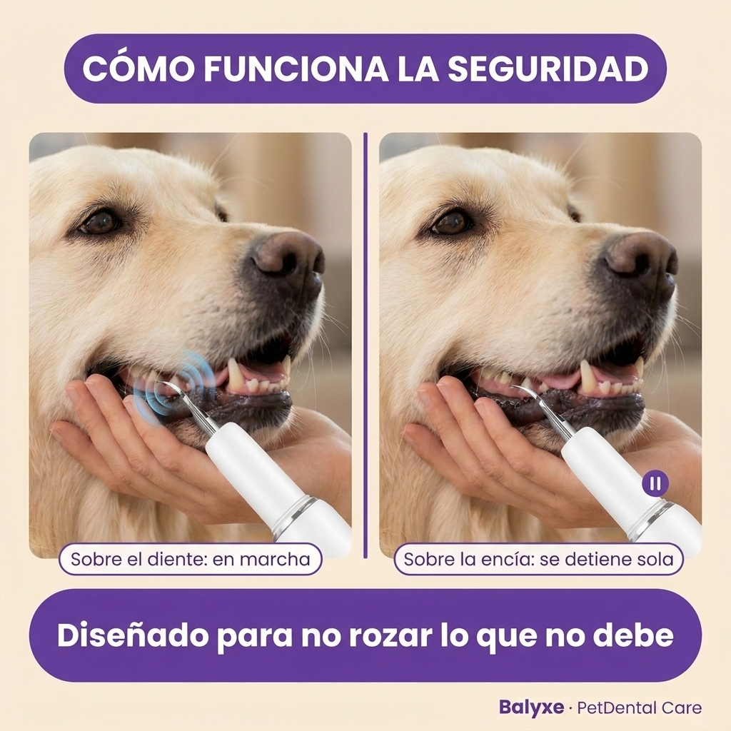 Eliminador de sarro endurecido con reconocimiento inteligente