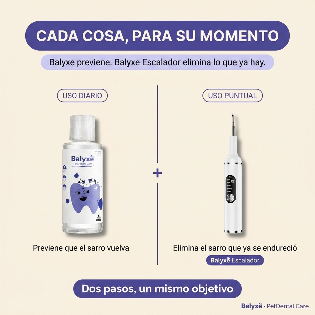 Eliminador de sarro endurecido con reconocimiento inteligente