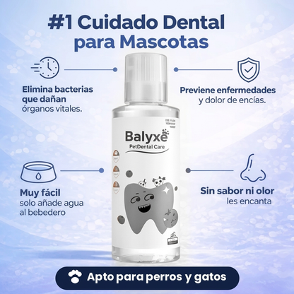 Balyxe: Protección Dental para Mascotas