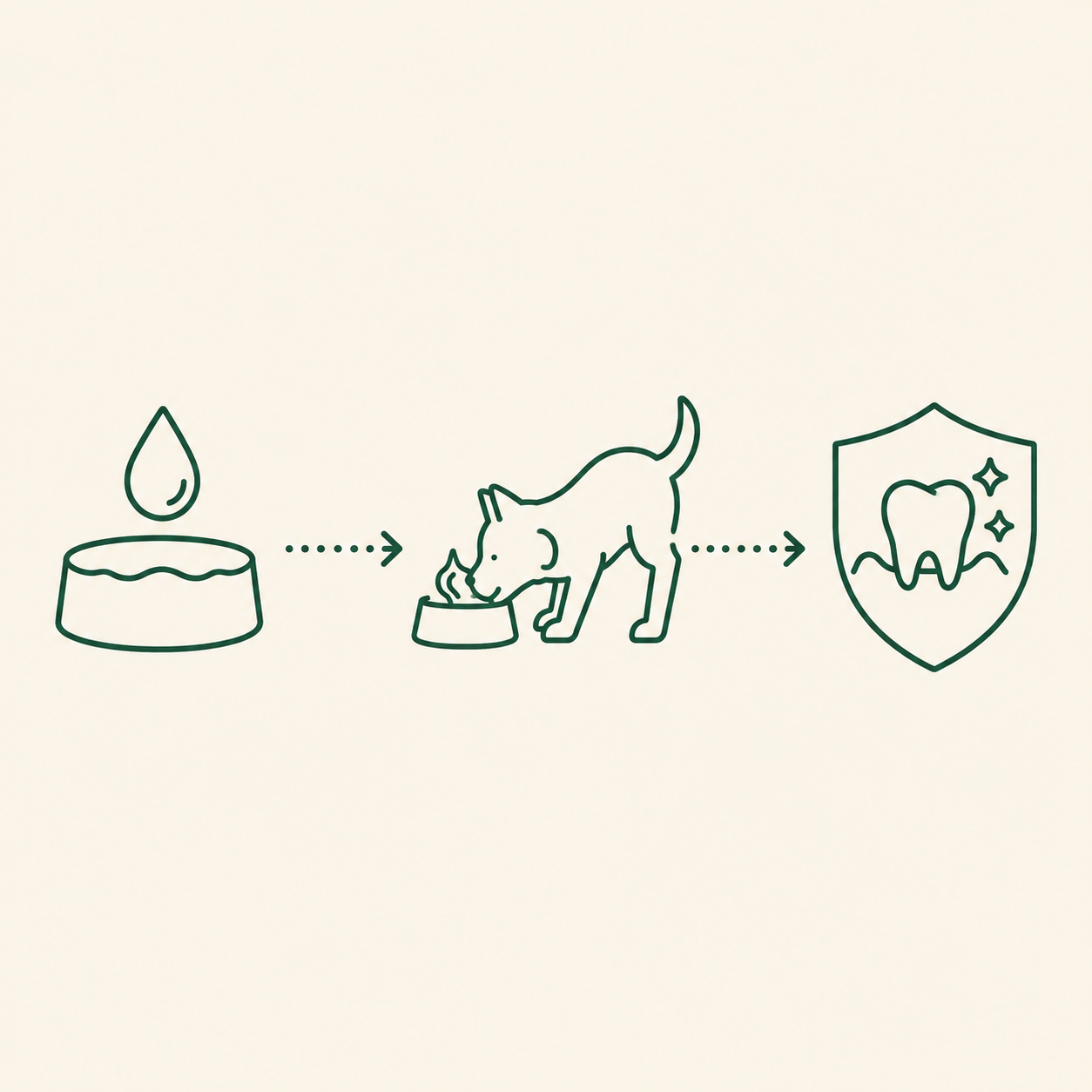 Balyxe – Pack Mayorista