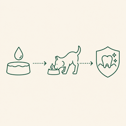 Balyxe – Pack Mayorista