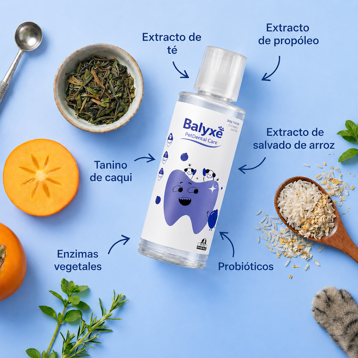 Balyxe: Protección Dental para Mascotas